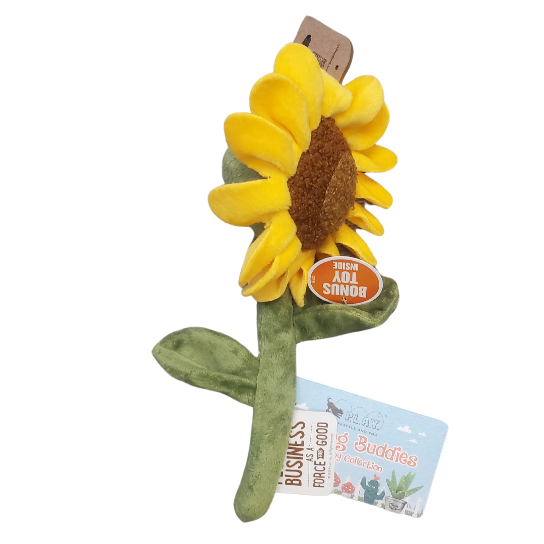sunflower-susie-s-snack-shop