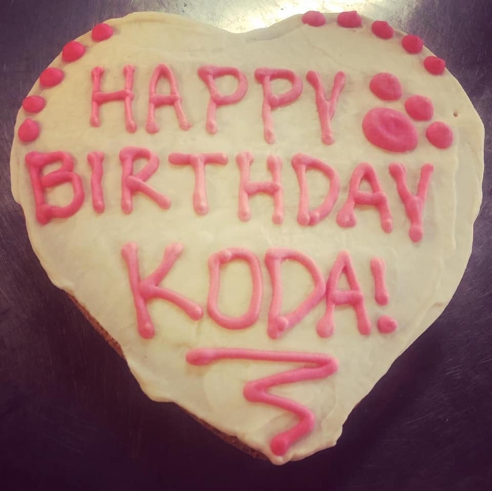 Dog Cakes